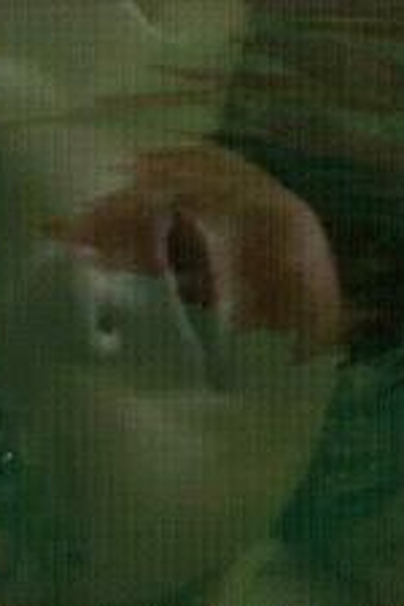 Cat Scratch Kitty - Screenshot 1 of 4 - Addiction Fetish