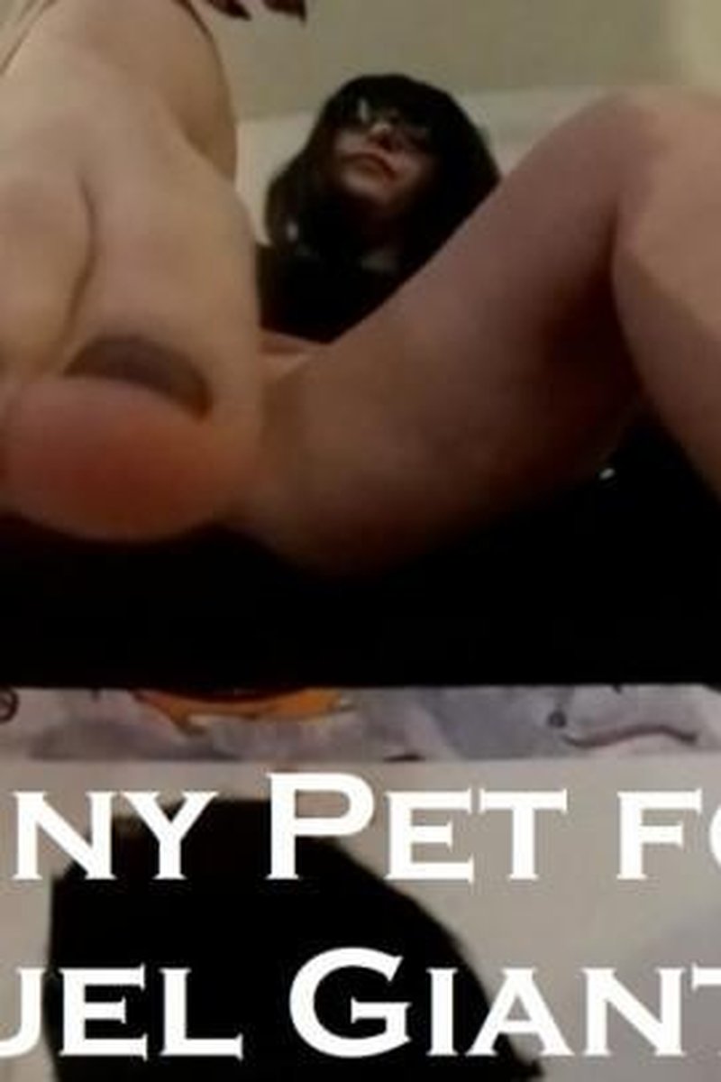 Tiny Pet for Cruel Giantess VR 360 - Screenshot 1 of 4 - Fetish
