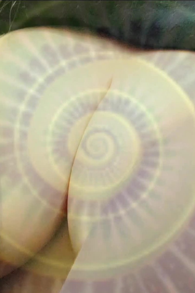 Disappointing Or Captivating - Screenshot 1 of 4 - Captive