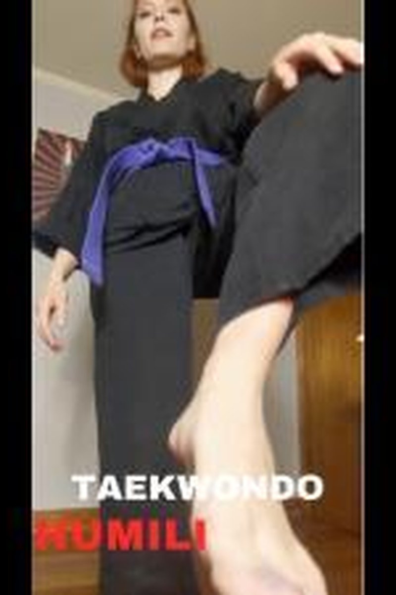 Tkd Humiliation - Screenshot 1 of 4 - Action & Fighting