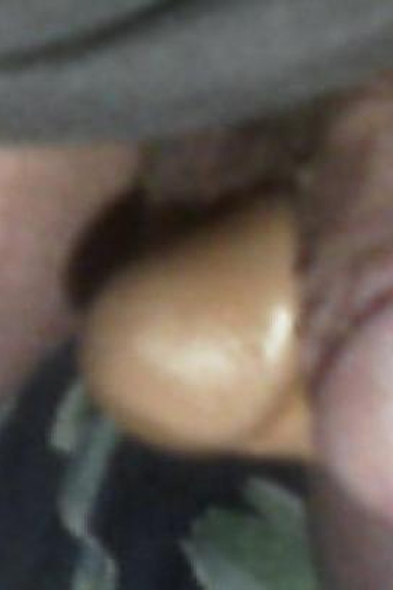 Jacking And Playing - Screenshot 1 of 4 - Anal
