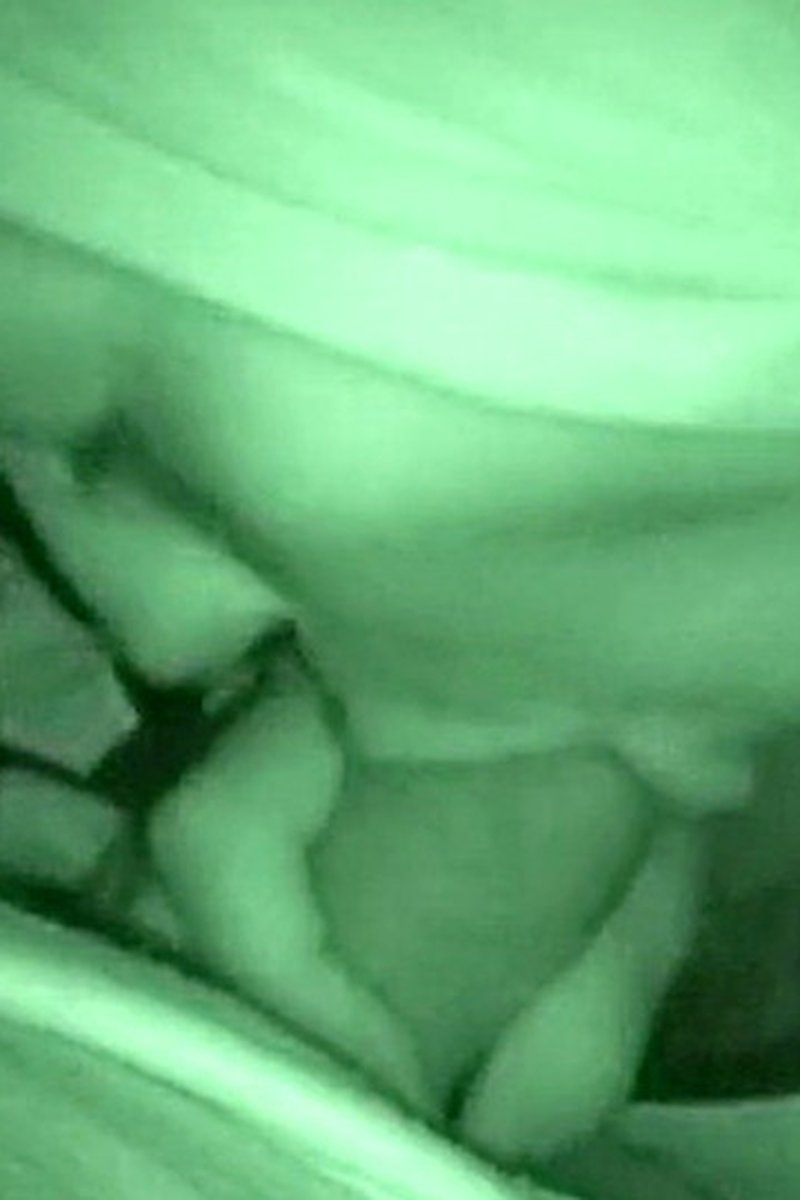 Romantic Couple Sex Oral - Screenshot 1 of 4 - Brown Hair