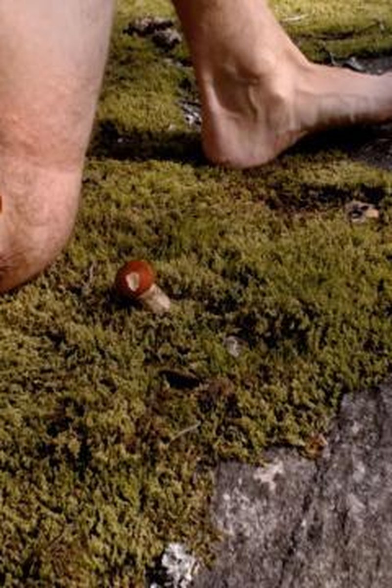 Primal Forest Cunt Pees While Birthing Mushrooms - Screenshot 1 of 4 - Big Clit