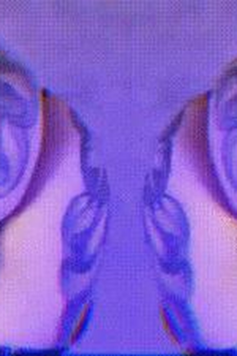 Assnosis - Screenshot 1 of 4 - Ass Fetish