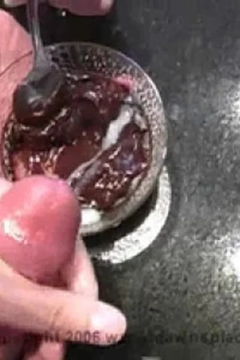 Pudding - Screenshot 1 of 4
