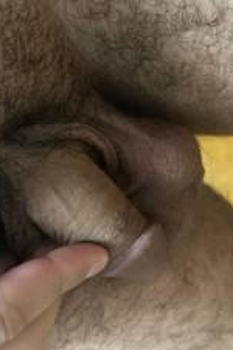 Cock#4 - Screenshot 1 of 4 - Amateur