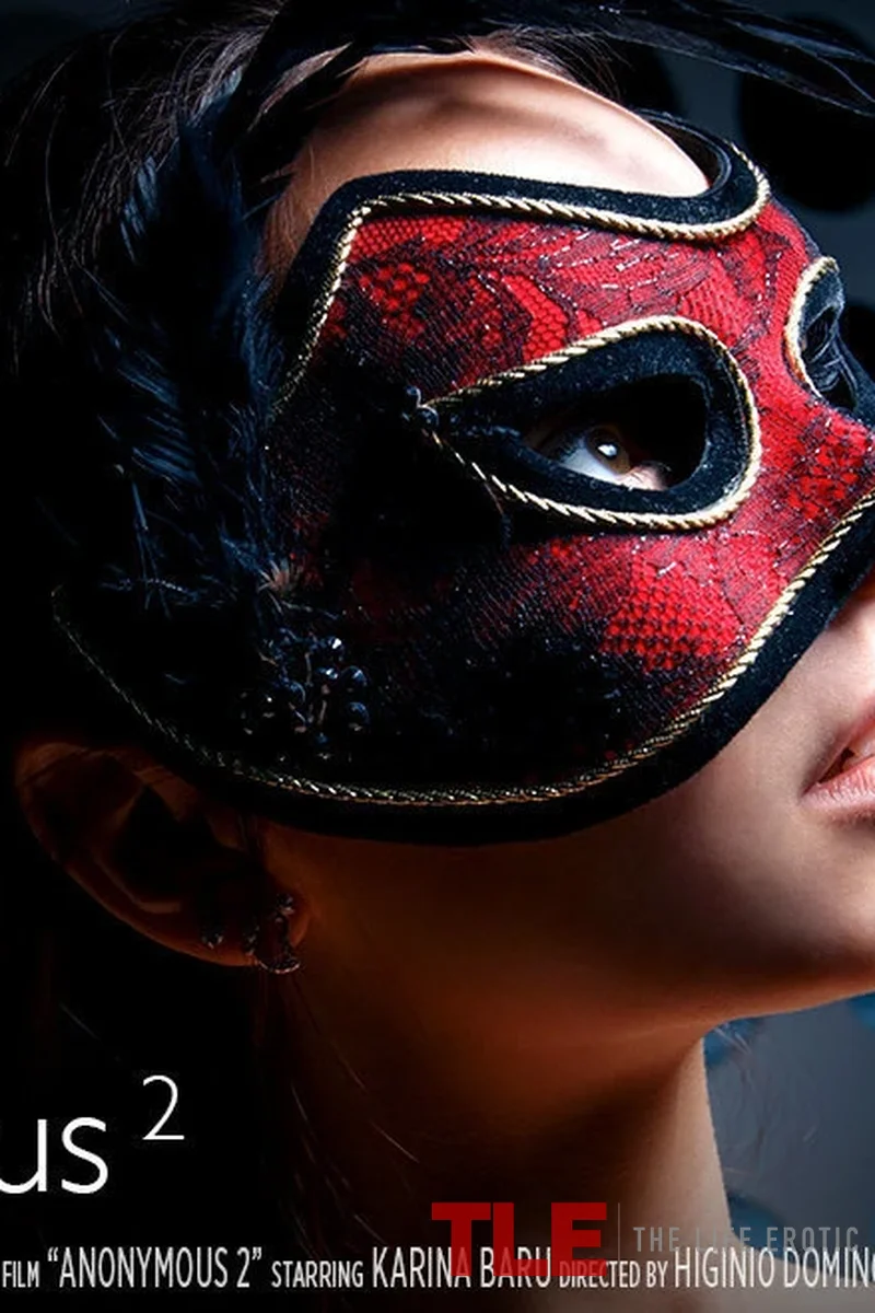 Anonymous 2 - Screenshot 1 of 4 - All Sex