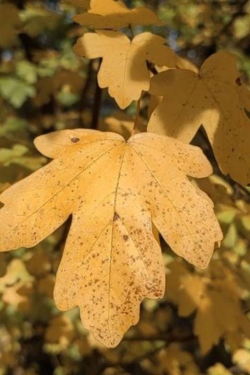 Test2 - Screenshot 1 of 4 - Hotel