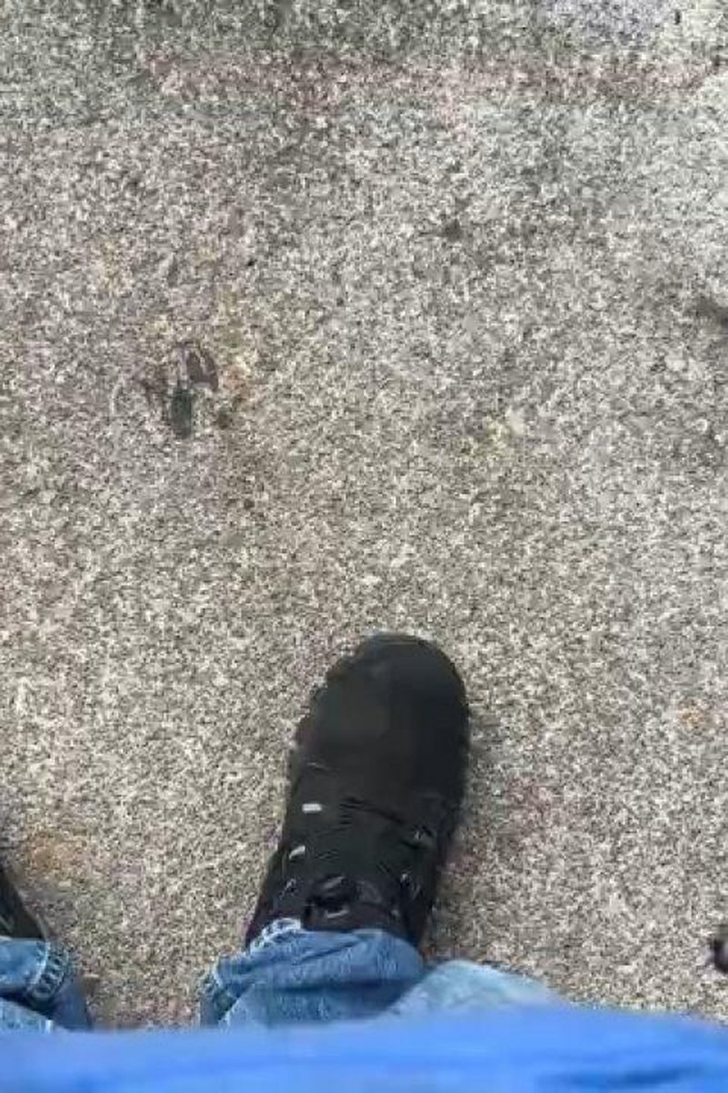 Traveling Talk Video - Screenshot 1 of 4 - Blackboots