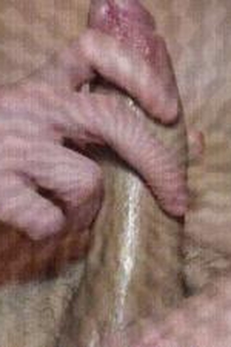 Just Send - Screenshot 1 of 4 - Big Dick