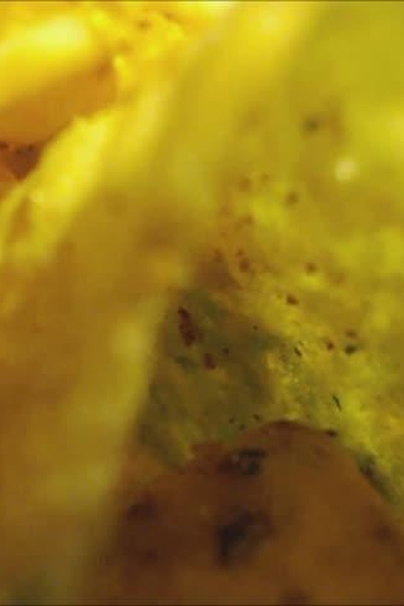 Tiny Vore With Crisps By Giantess Pixie - Screenshot 1 of 4 - Fetish