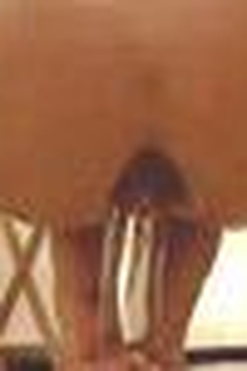 Huge Anal Dildo Fuck - Screenshot 1 of 4 - Anal