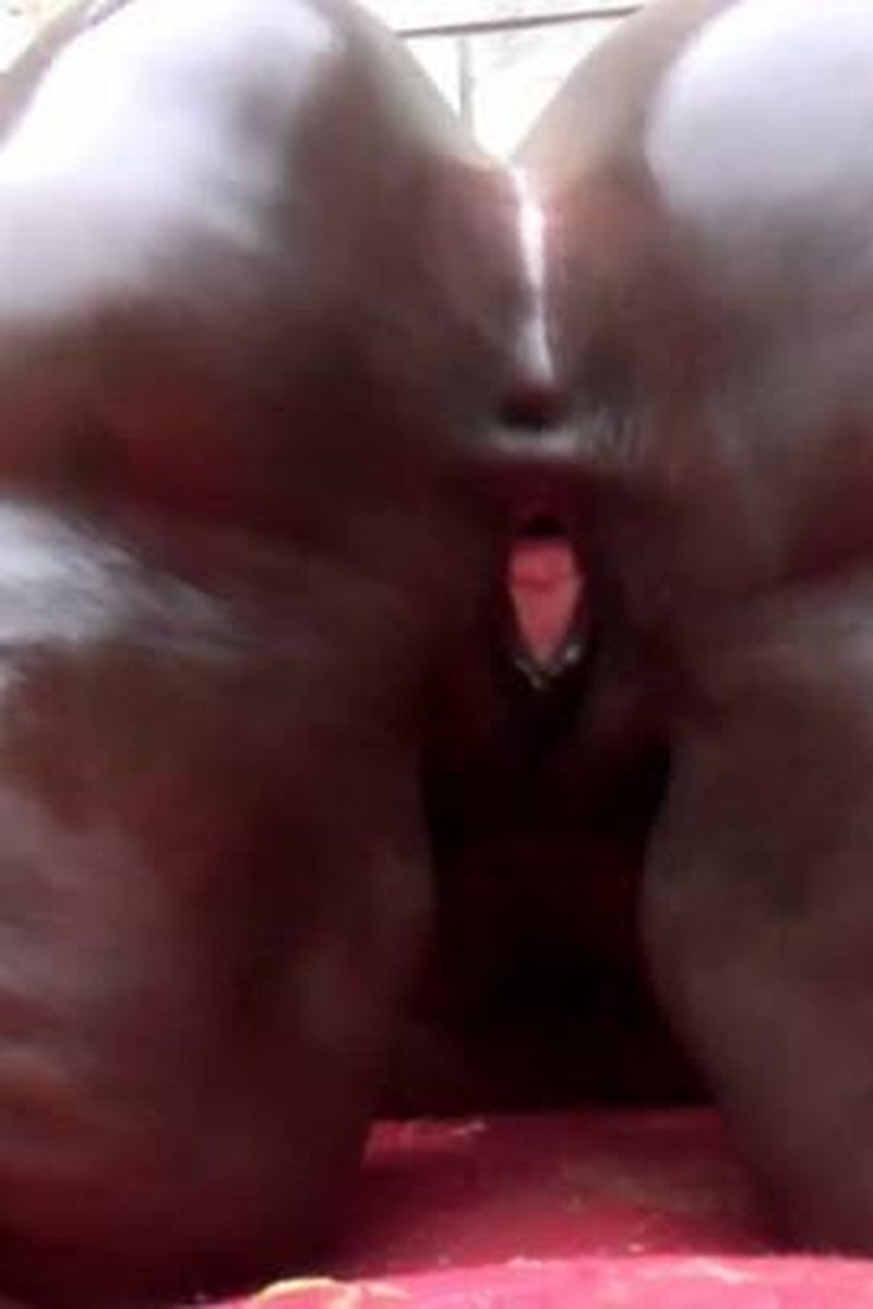 The Ass Dominator Bubble Butt Twerk - Screenshot 1 of 4 - Ass Fetish