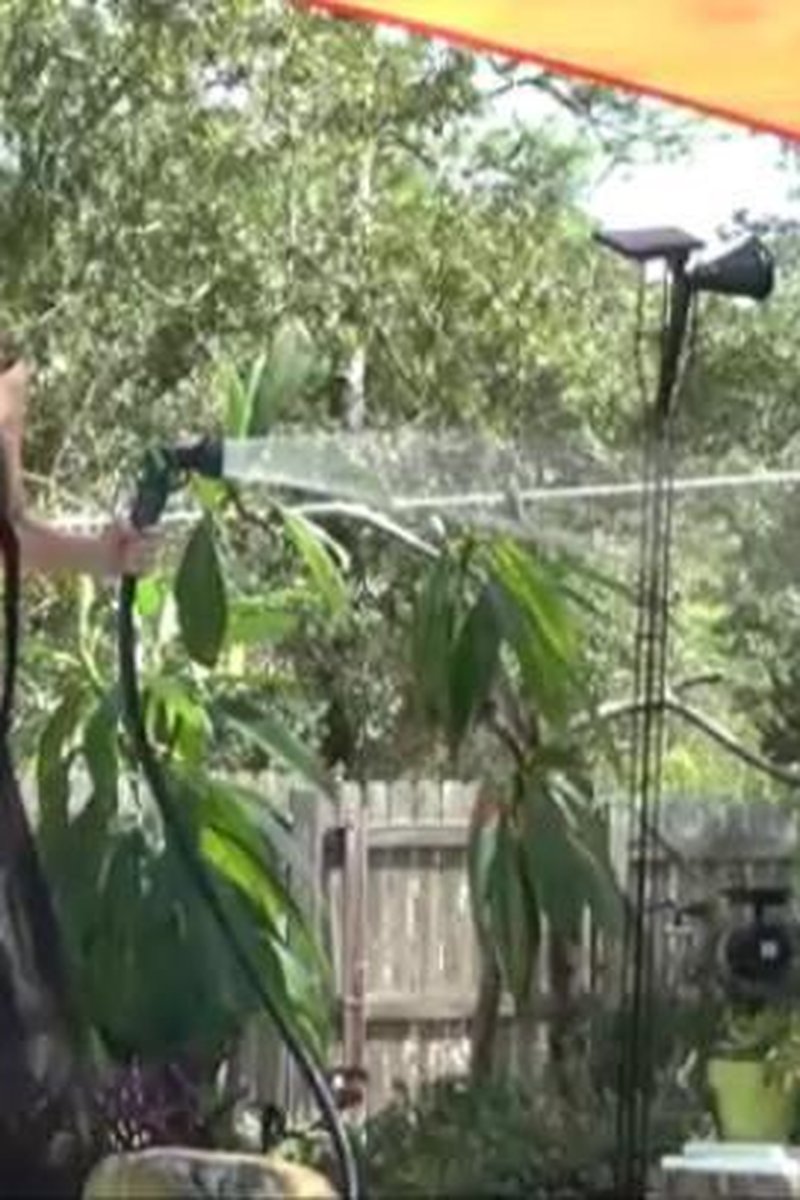 Poolside Watering - Screenshot 1 of 4 - Big Tits