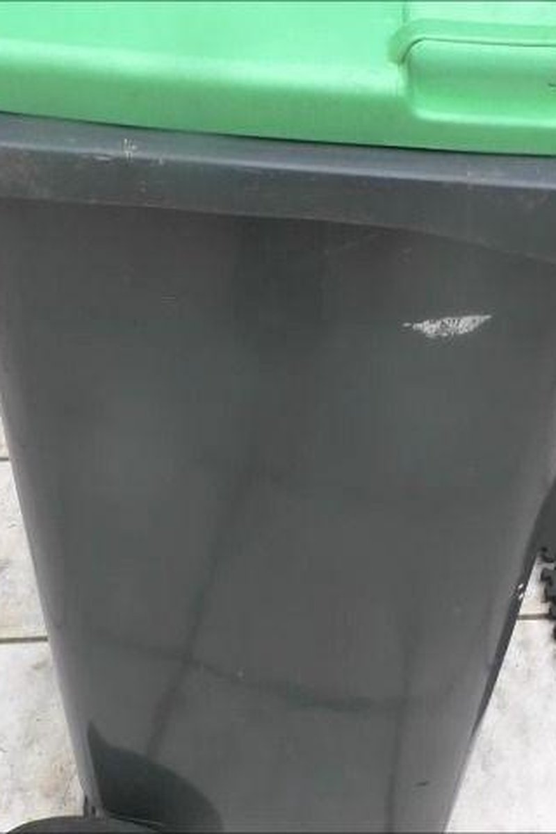 Trash Slut - Screenshot 1 of 4 - Femdom