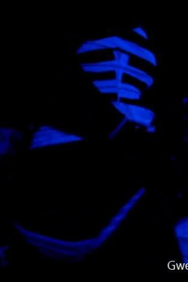 Black Light Teasing Show Dancing - Screenshot 1 of 4 - Holidays
