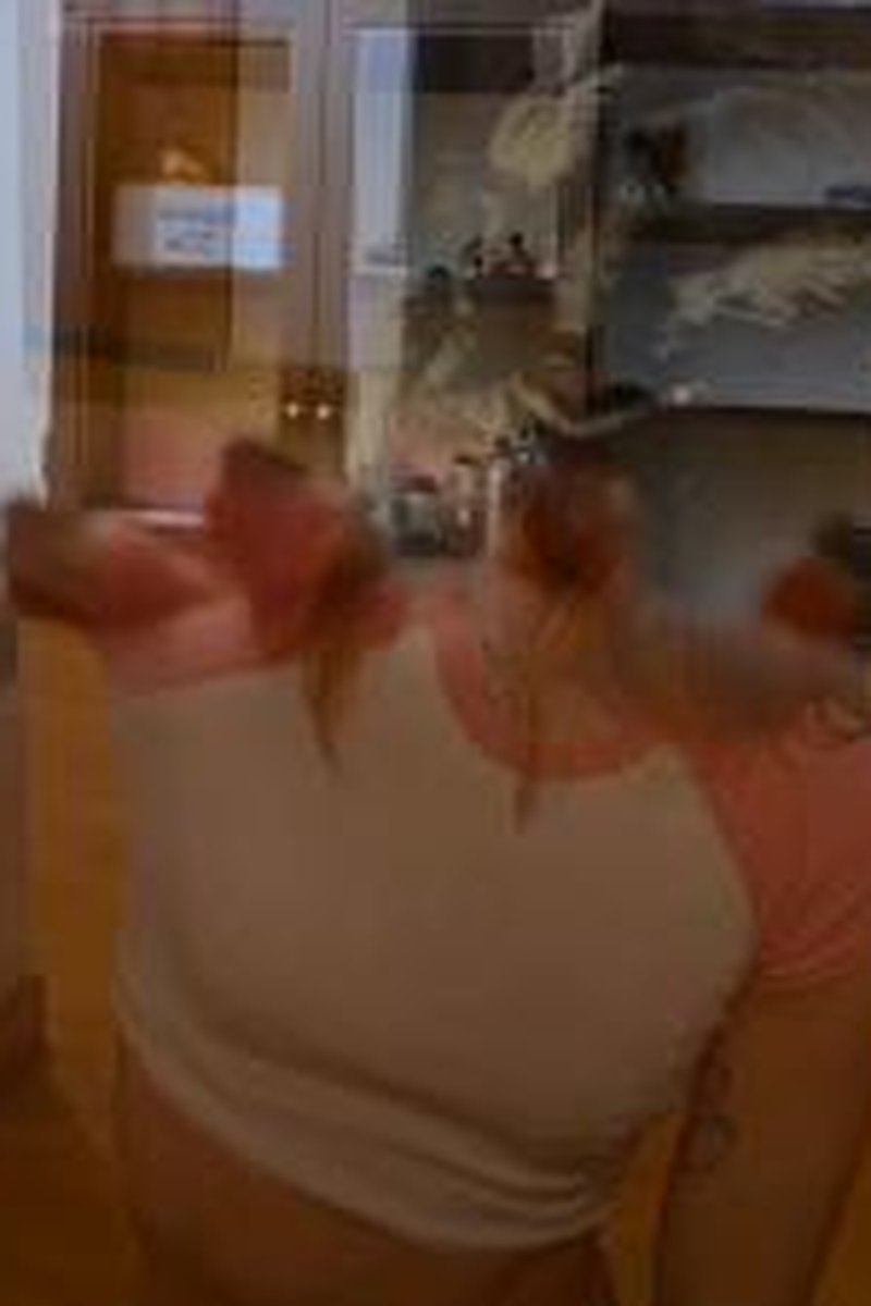 Iron Grip - Screenshot 1 of 4 - Bodybuilder