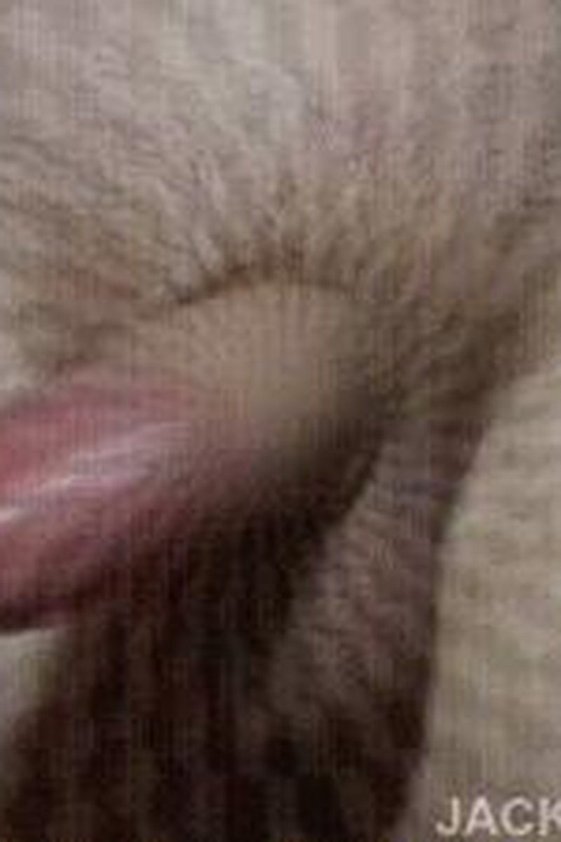 Extend Your Sub Limits - Screenshot 1 of 4 - BDSM