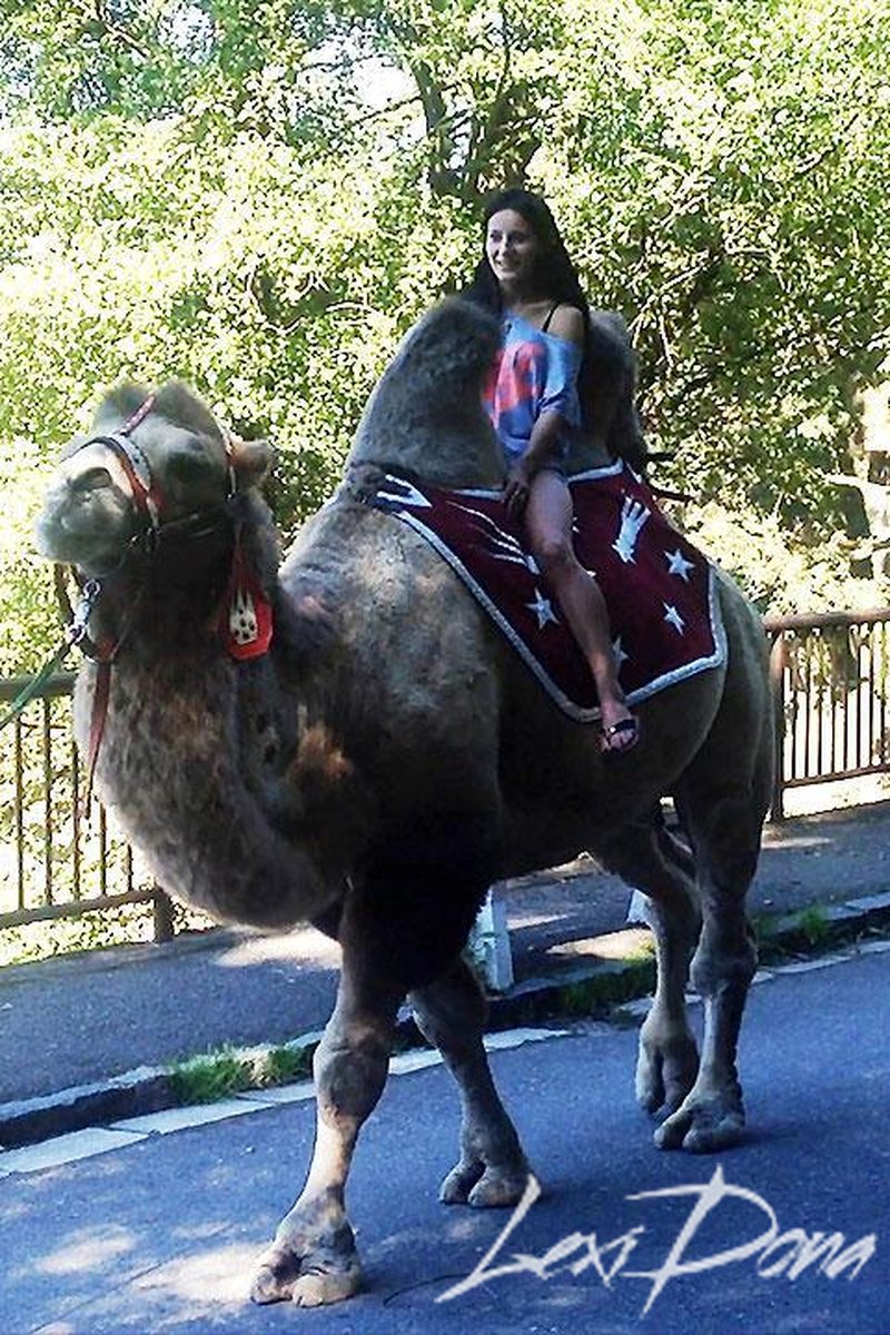 Camel - Screenshot 1 of 4 - Public Nudity