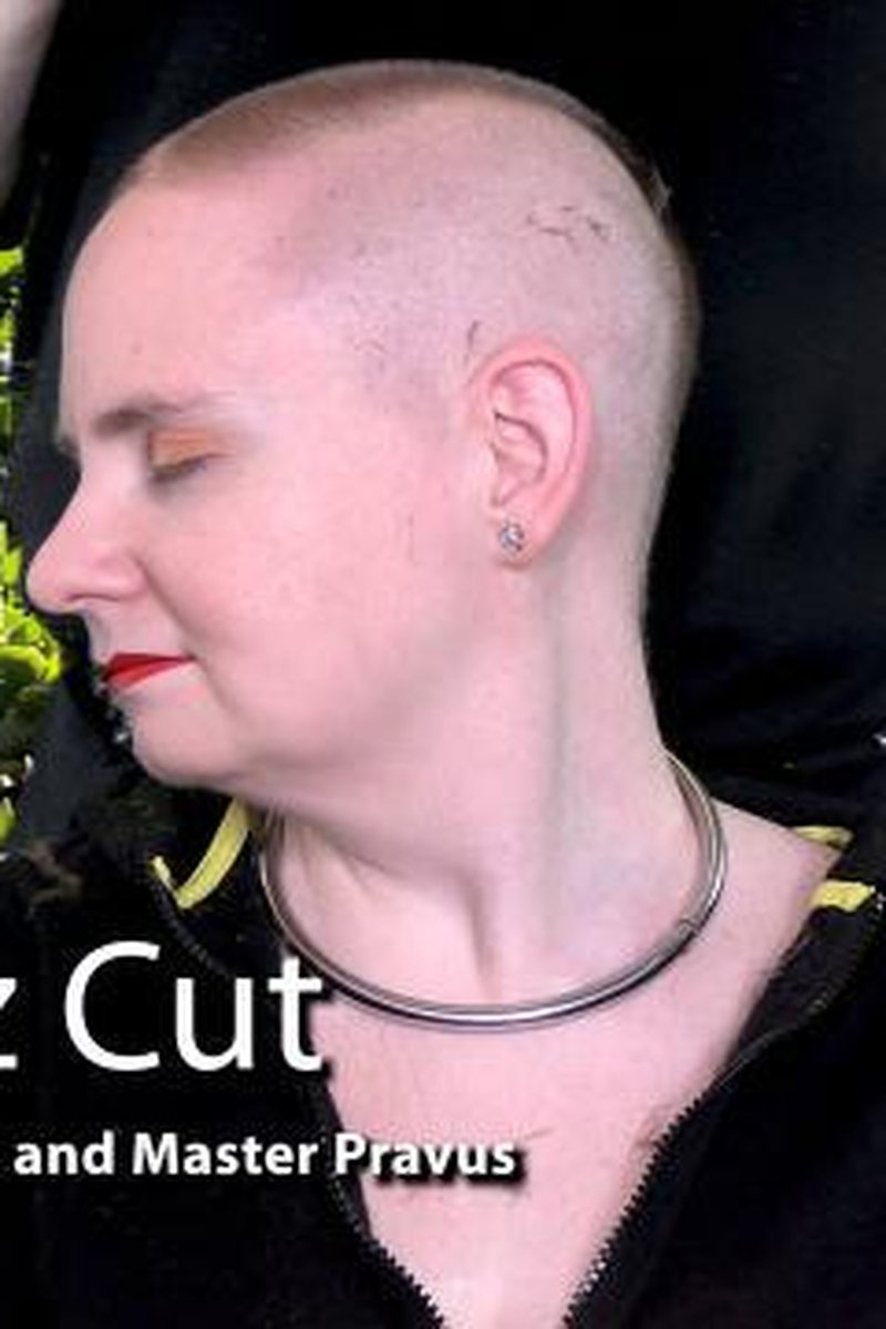 A Buzz Cut - Screenshot 1 of 4 - Bees