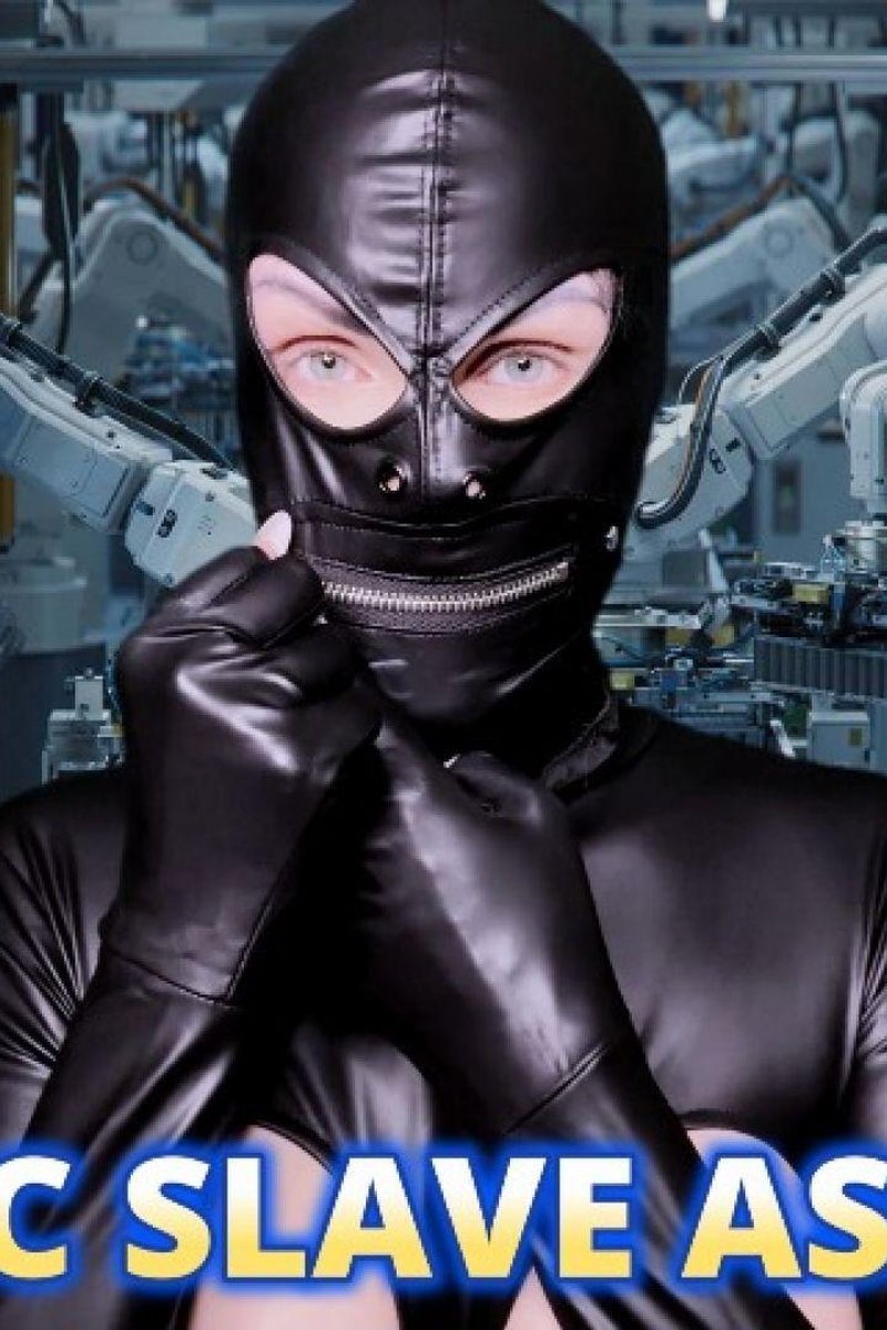 Robotic Slave Assembly - Screenshot 1 of 4 - Mindless