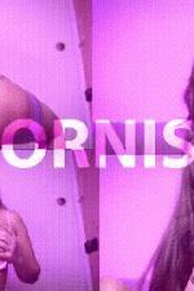 Pornism - Screenshot 1 of 4 - Broken