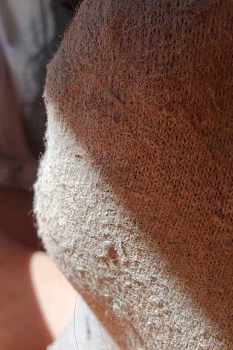 TP-yourvidsabigaillatina-feet-worship-in-sunlight-close-up-soles-toes