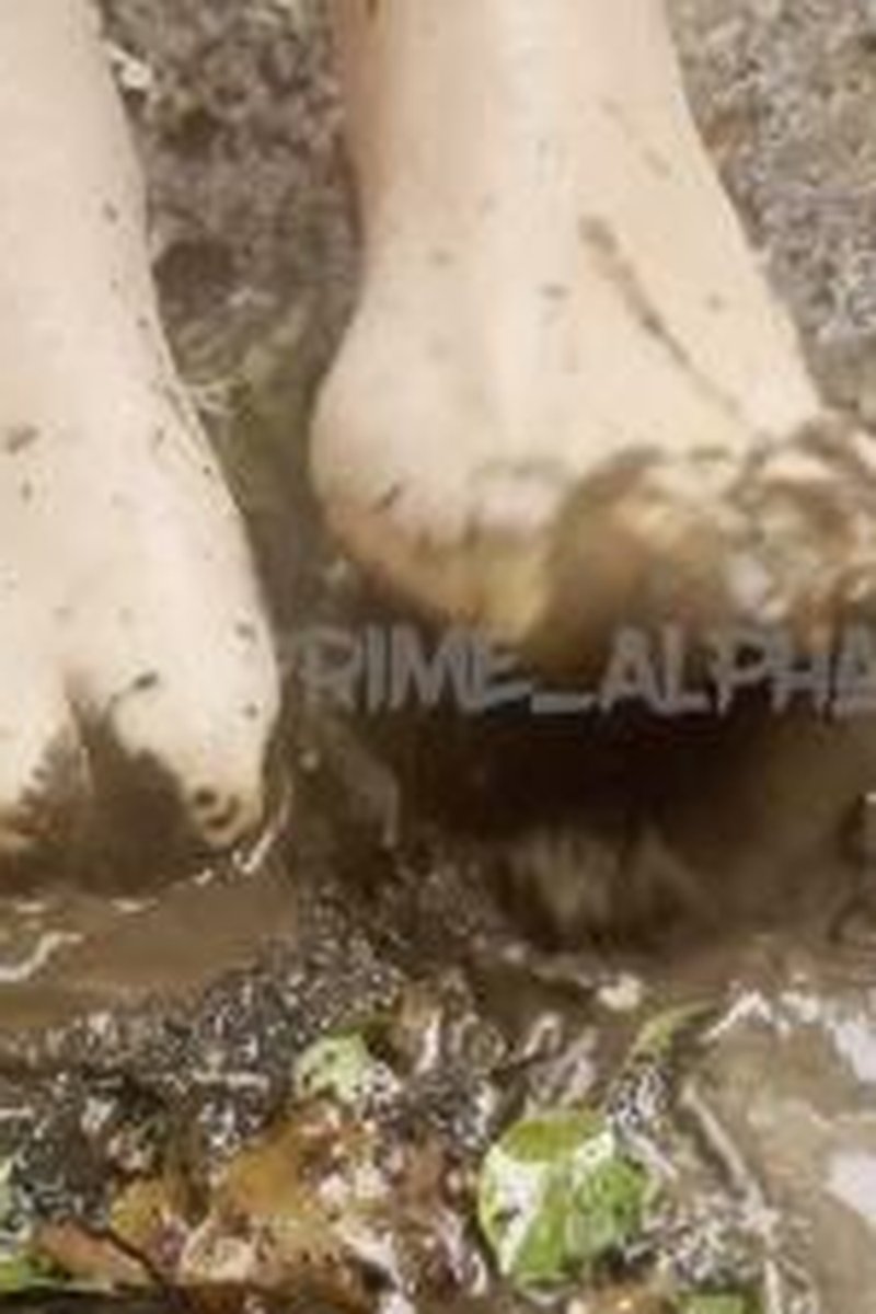 Muddy Puddles - Screenshot 1 of 4 - ASMR
