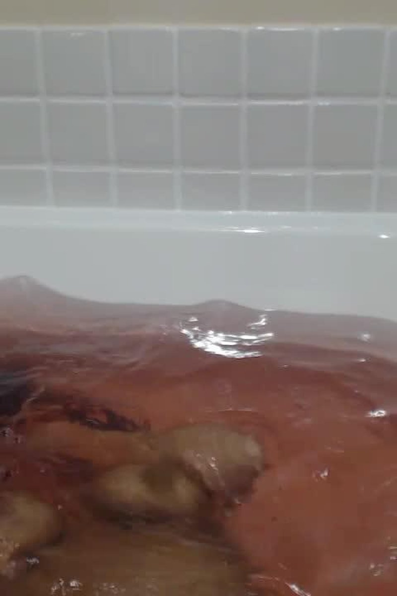 Bathtub Underwater Fun - Screenshot 1 of 4 - Bathroom