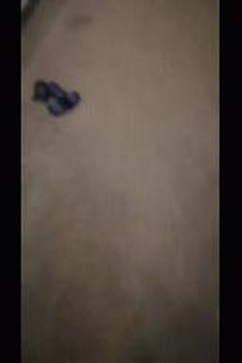 Trampling - Screenshot 1 of 4 - Arabic