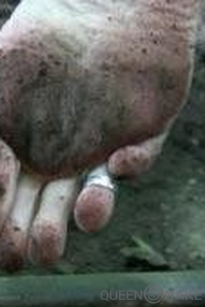 Barefoot Trip - Screenshot 1 of 4 - Foot Fetish