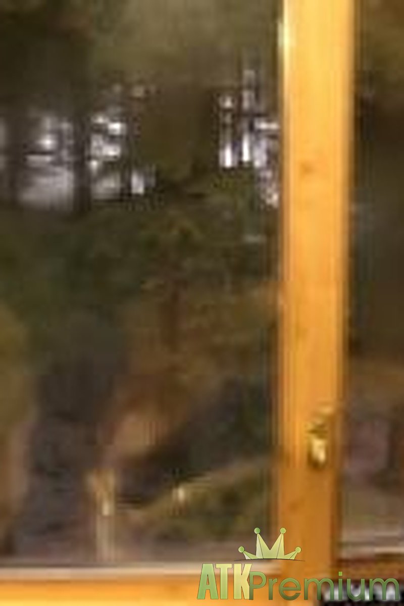 Jedda - Interview - Screenshot 1 of 4 - Jedda Jed002