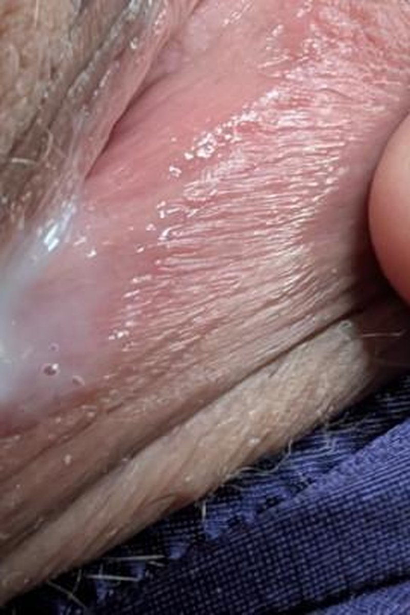Grooling Goodness - Screenshot 1 of 4 - Close Up