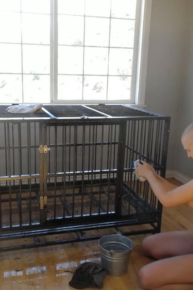 Preparing The Cage - Screenshot 1 of 4 - Bondage