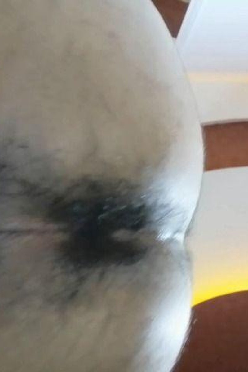 Squats Time - Screenshot 1 of 4 - Anal
