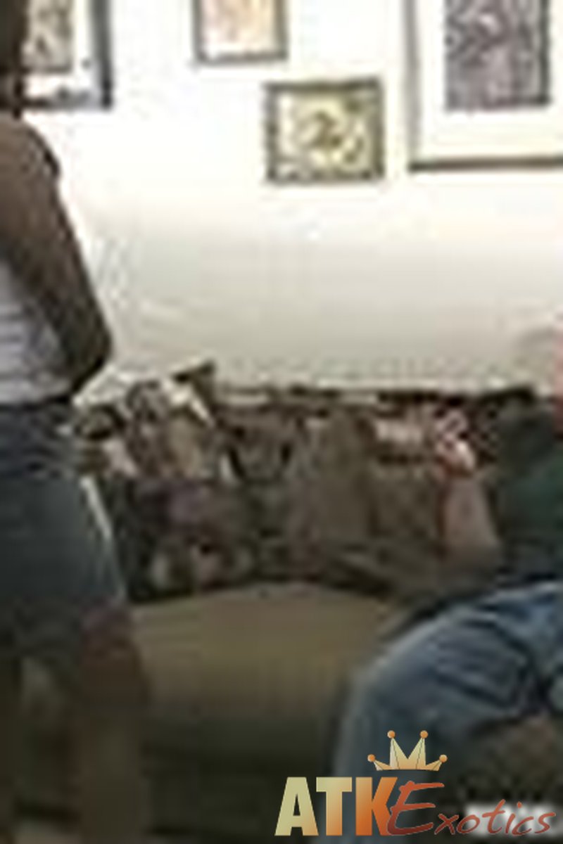 Diva - Action - Screenshot 1 of 4 - Diva Div004