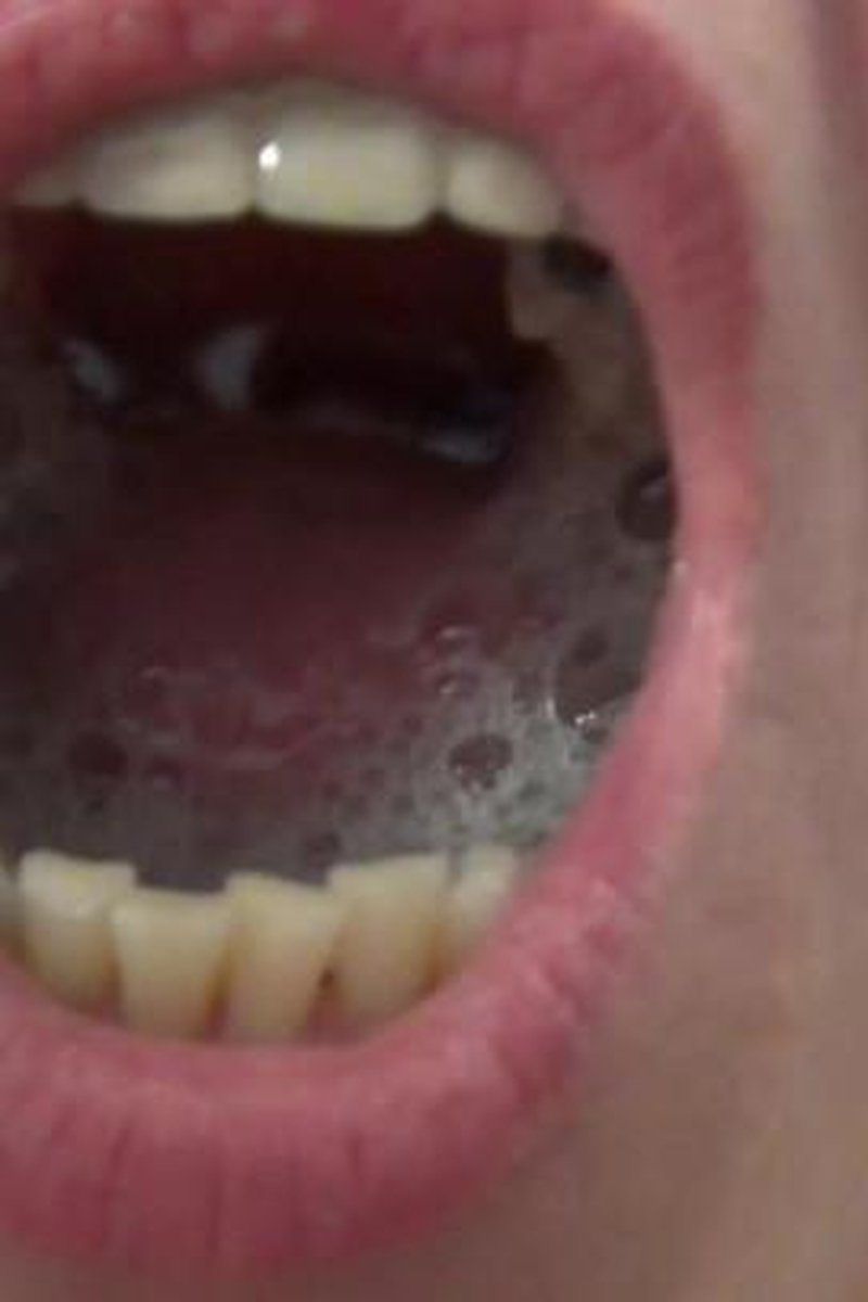Blowjob Closeup - Screenshot 1 of 4 - Blowjob