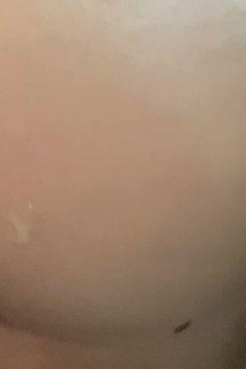 Amateur Couple Anal - Screenshot 1 of 4 - Amateur