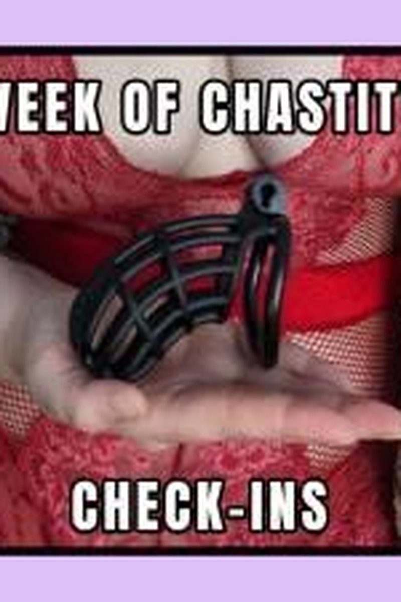 Week Of Chastity Check Ins - Screenshot 1 of 4 - Chastity Encouragement