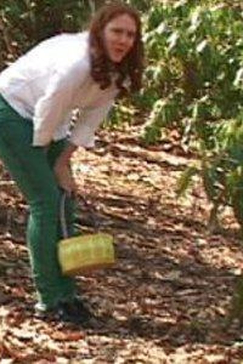 Easter Egg Hunt - Screenshot 1 of 4 - About To Explode