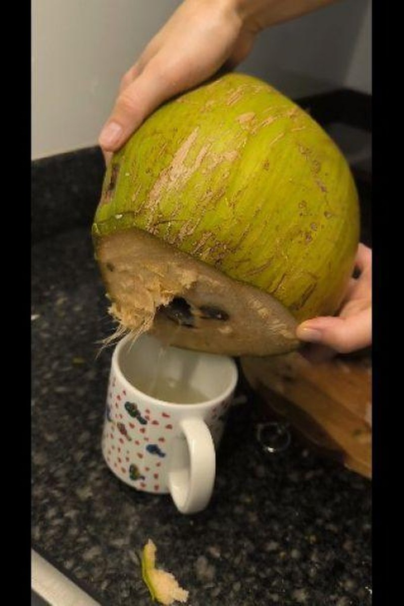 Coconut Opening - Screenshot 1 of 4 - Couple