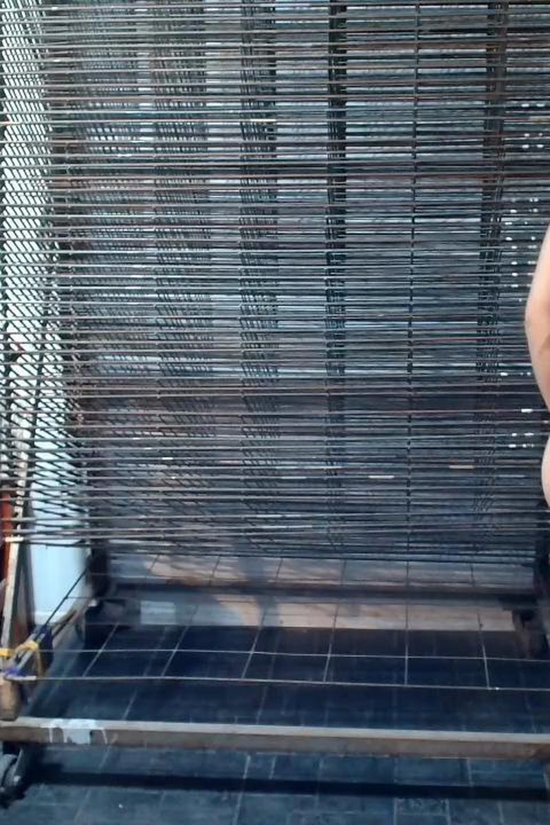 Trabajando - Screenshot 1 of 4 - Desnudo