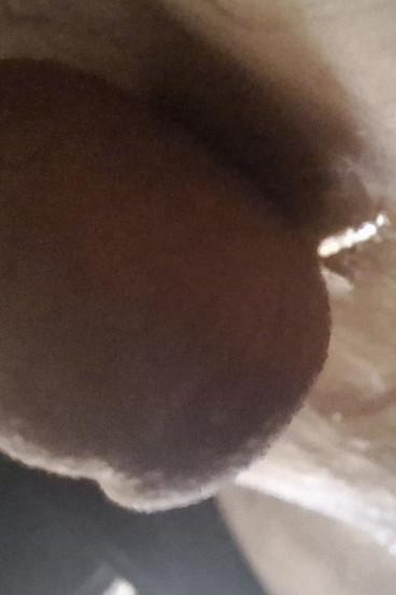 Pissing - Screenshot 1 of 4 - Fetish