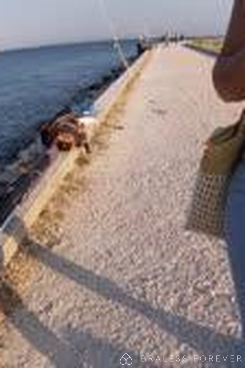 Nipslips - Screenshot 1 of 4 - Oli