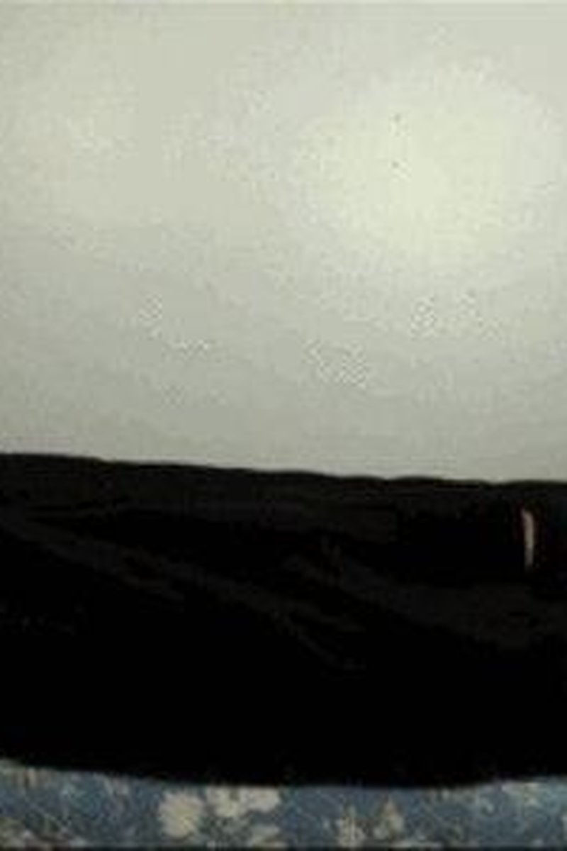 Belly Button Prowler.Wmv - Screenshot 1 of 4 - Belly Fetish