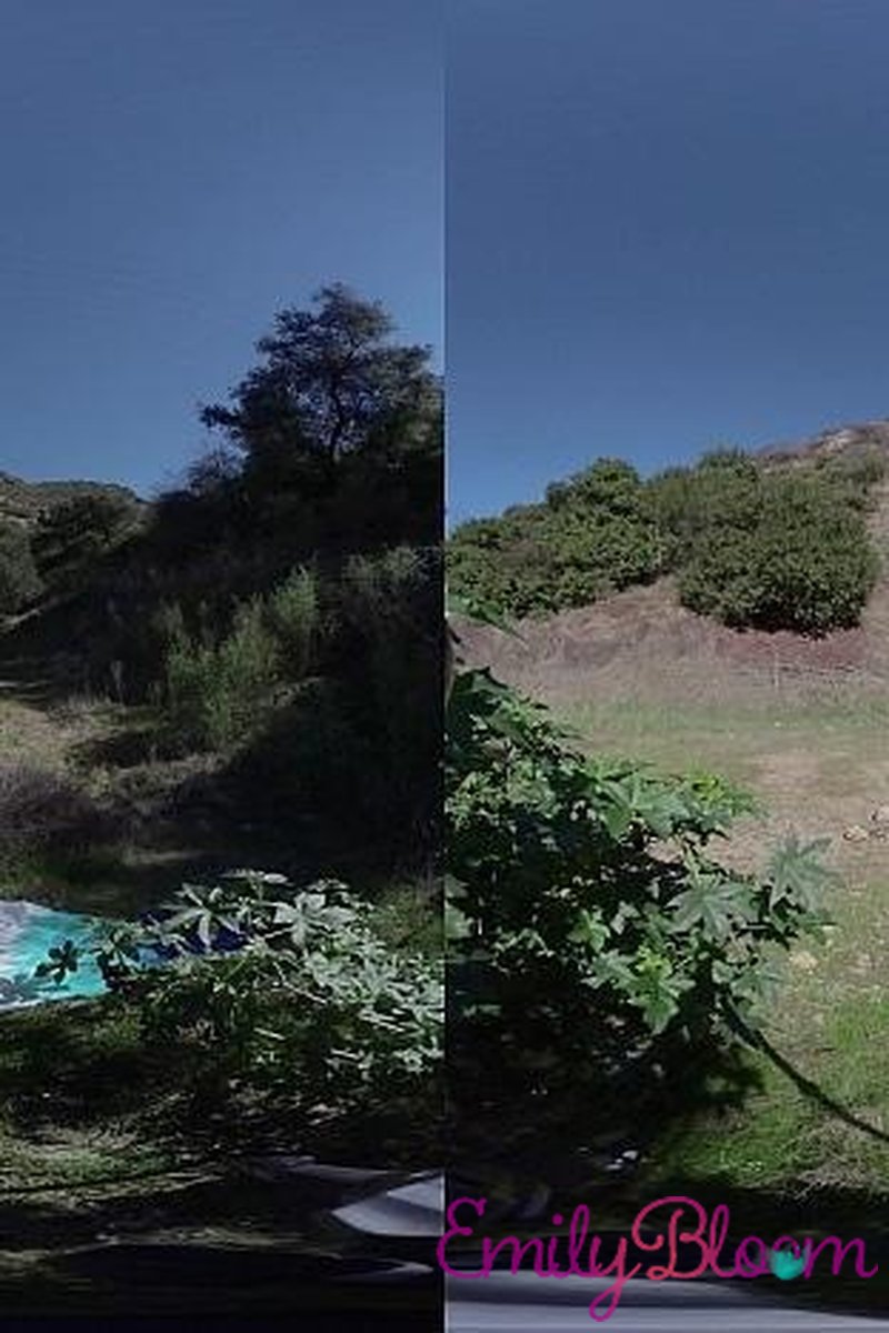 Fans VR - Screenshot 1 of 4 - Big Tits