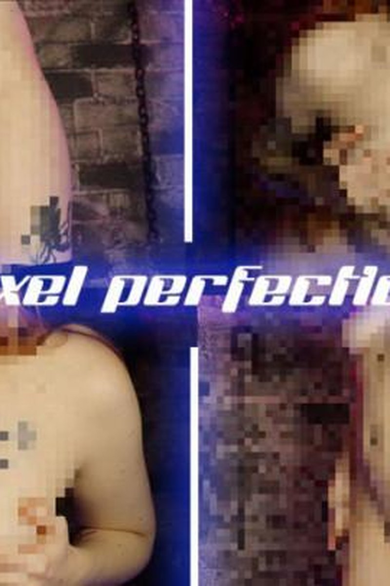 Pixel Perfection - Screenshot 1 of 4 - Domination