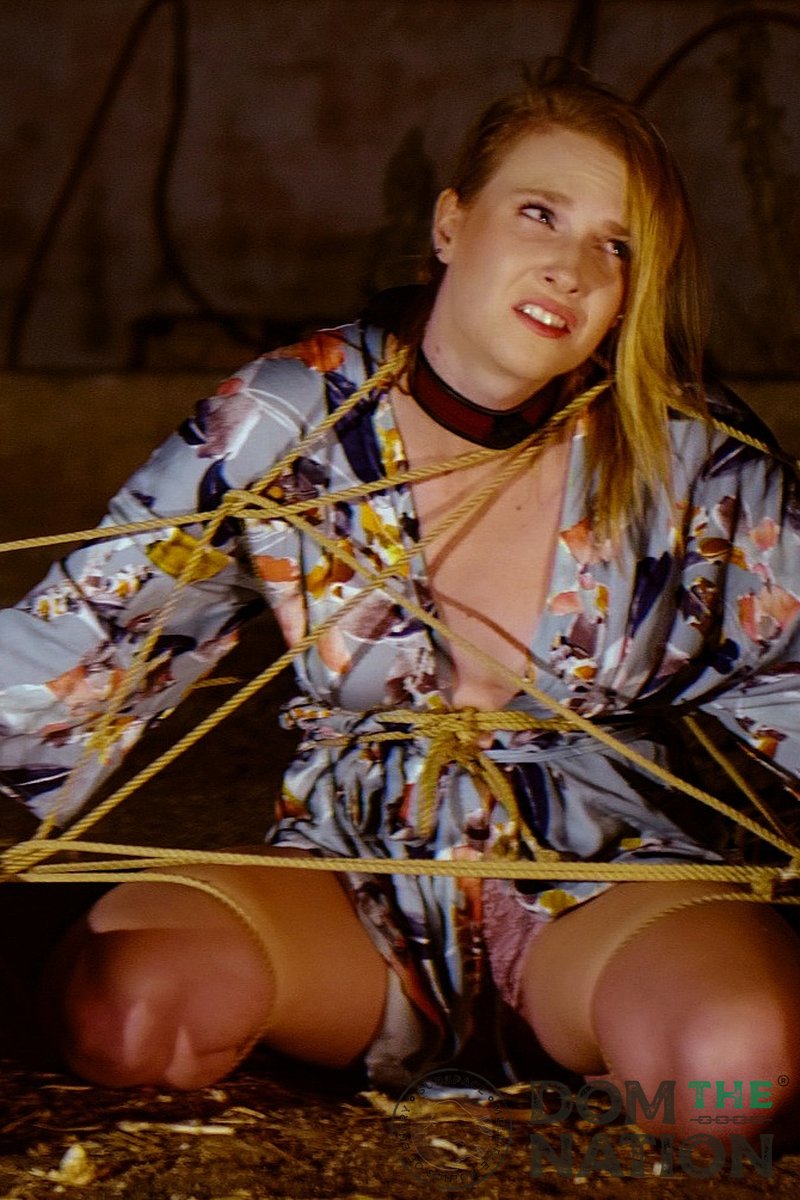 Storm Bound - Screenshot 1 of 4 - Anal Toys