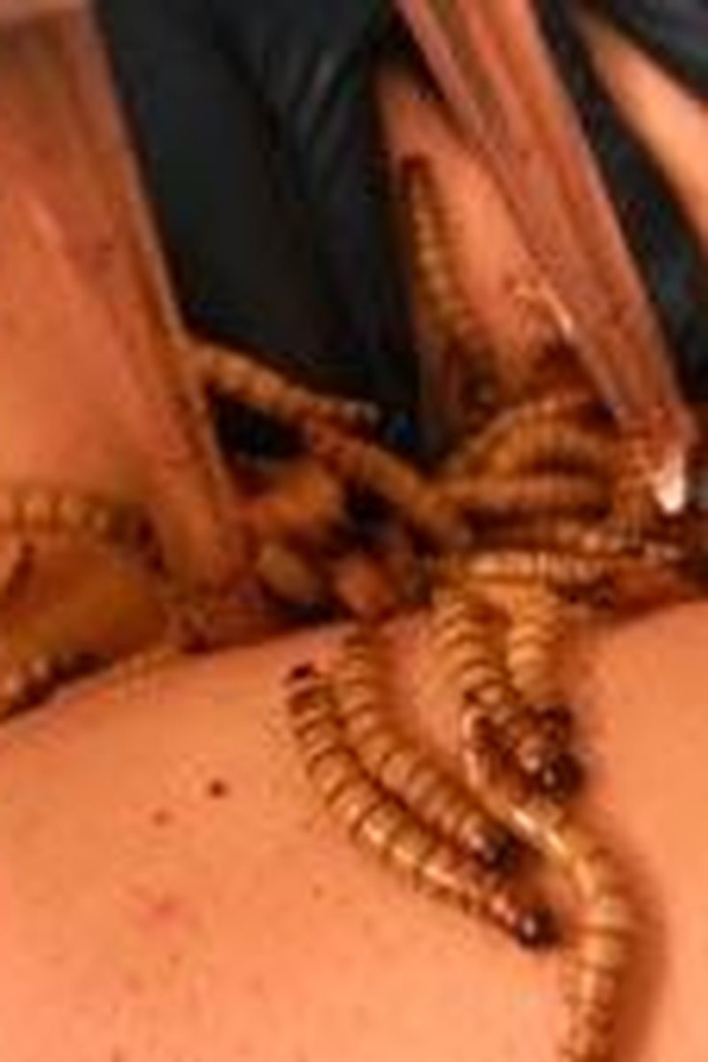 Wormhole - Screenshot 1 of 4 - BDSM