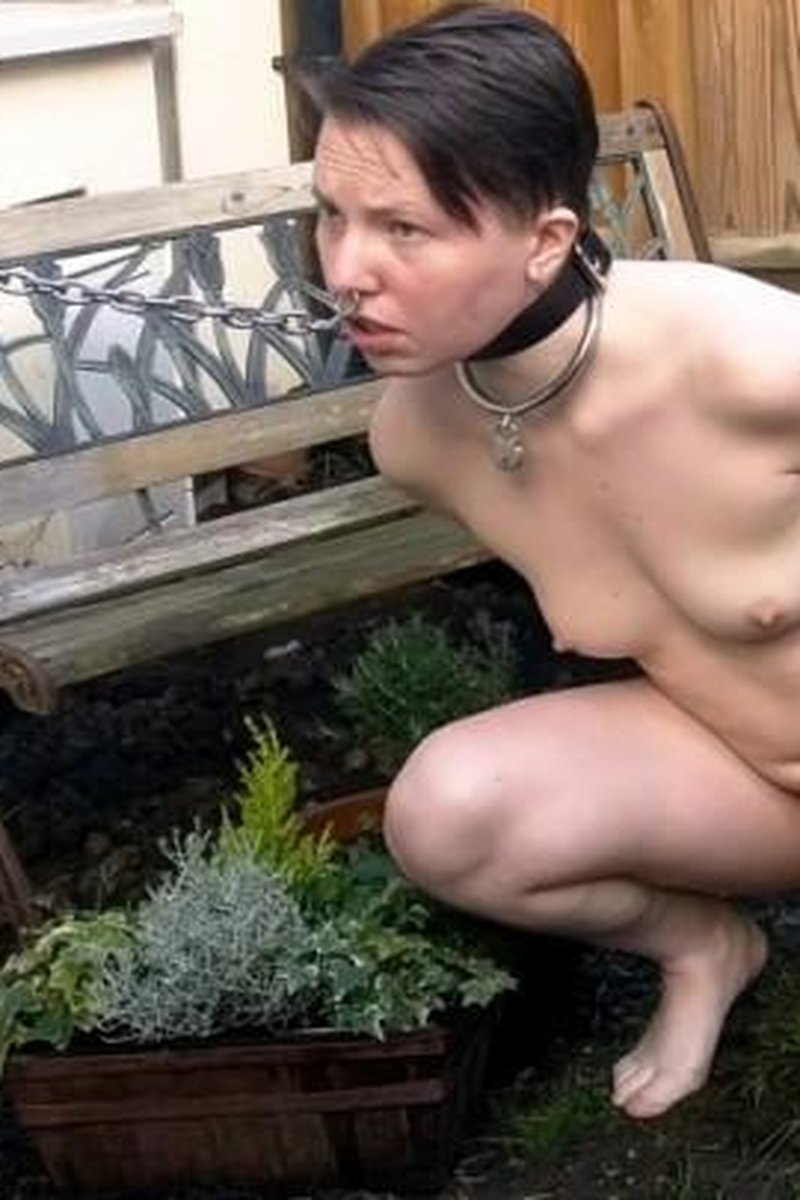 Peeing Pet - Screenshot 1 of 4 - Golden Shower